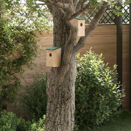 Bird House Set of 10 Wood Solid Firwood Small Hanging mounting