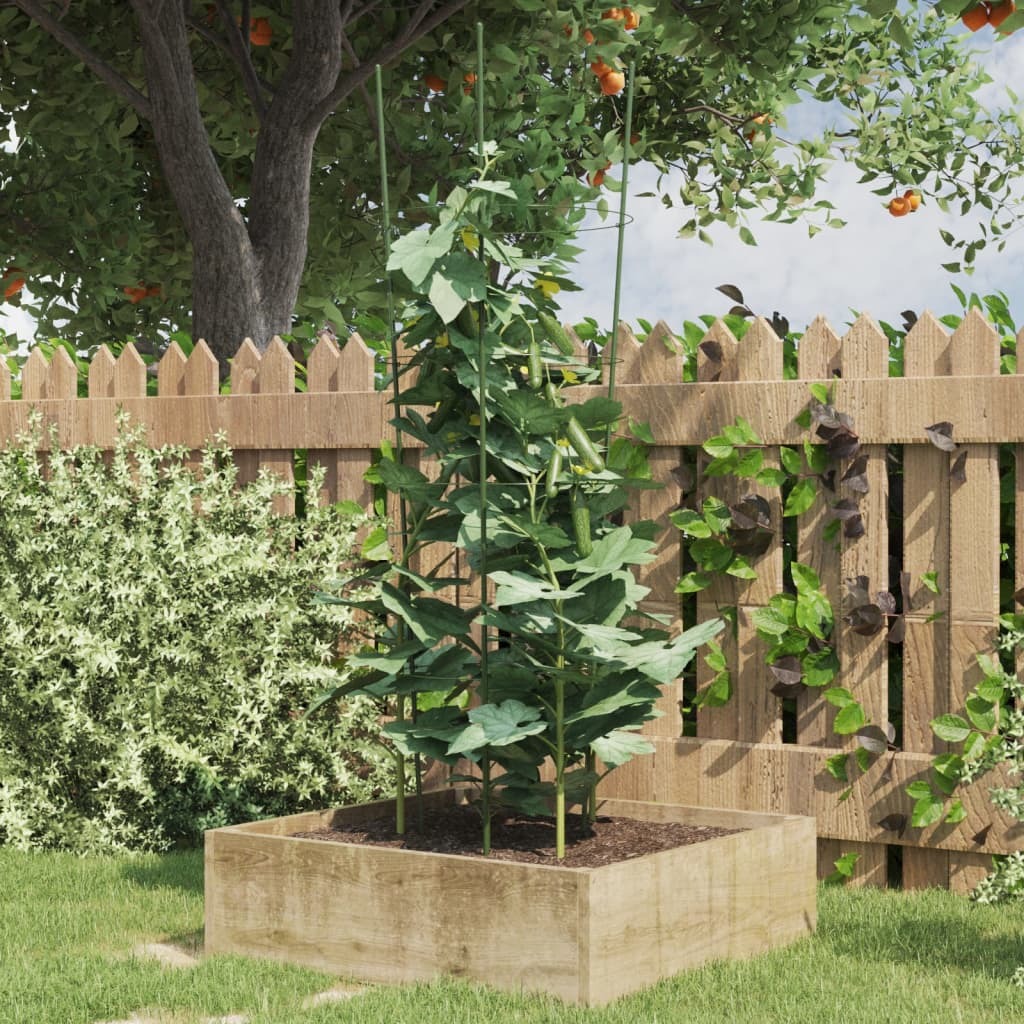 Garden Plant Support Set of 5 Green