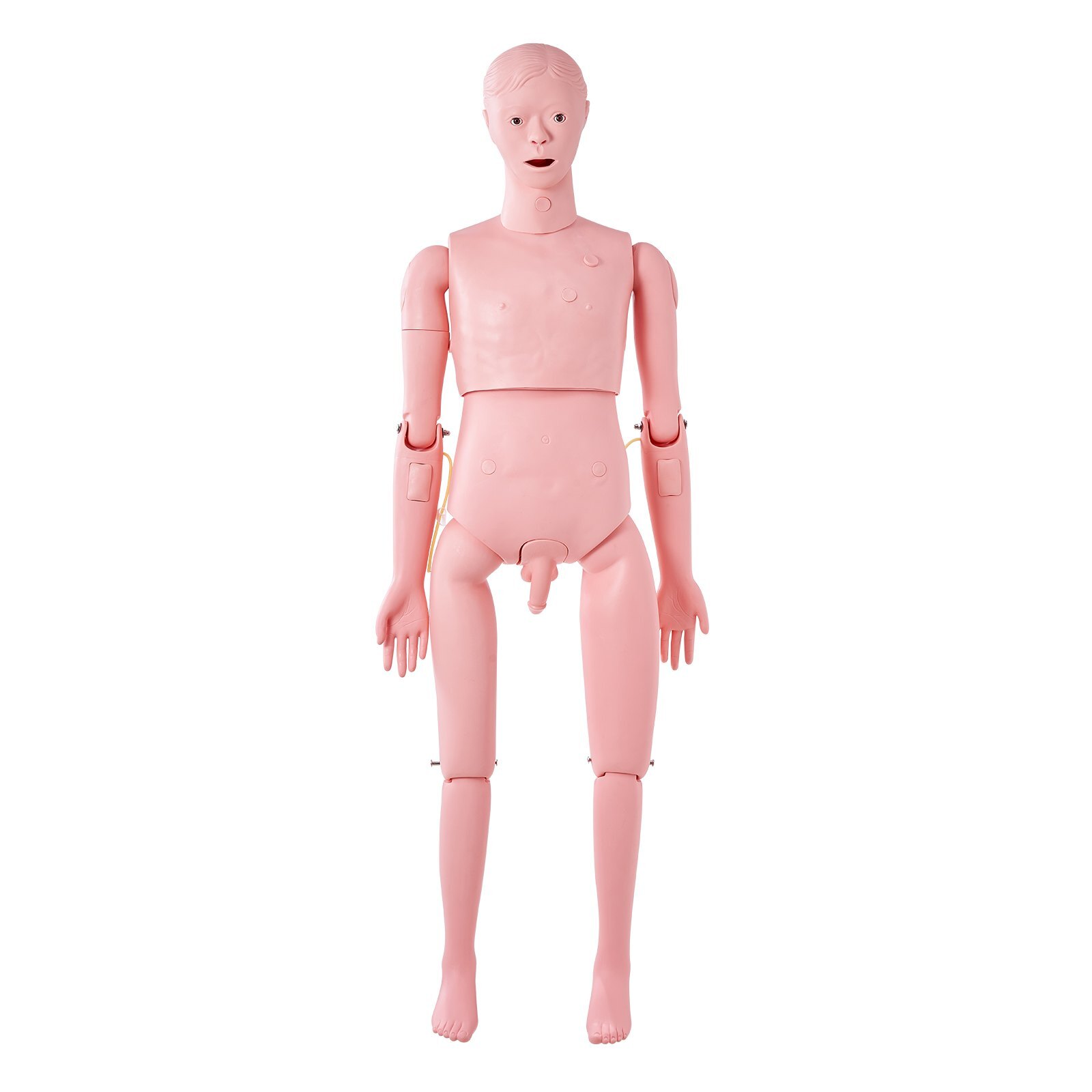 Nursing Training Manikin, Male Life Size Demonstration Human Manikin for Nursing Training, Multifunctional Education Teaching Model Supplies, PVC Anatomical Mannequin Body Care Simulator Model